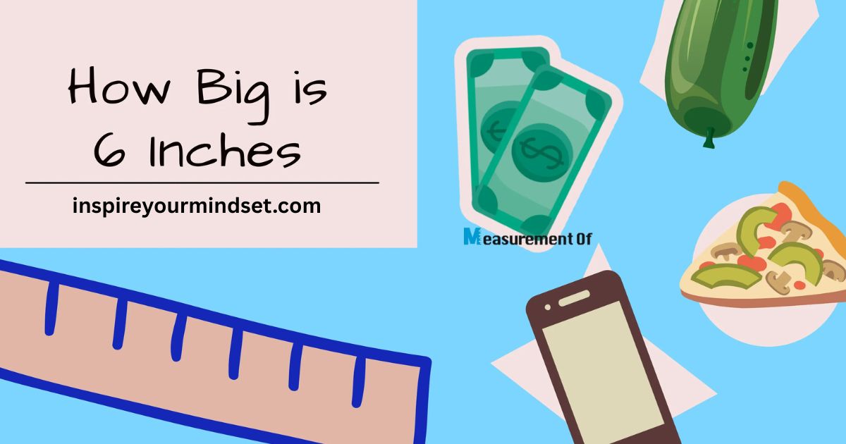 How Big Is 6 Inches? A Visual and Practical Guide