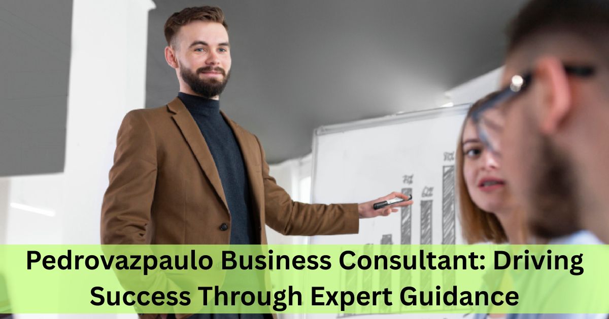 Pedrovazpaulo Business Consultant: Driving Success Through Expert Guidance
